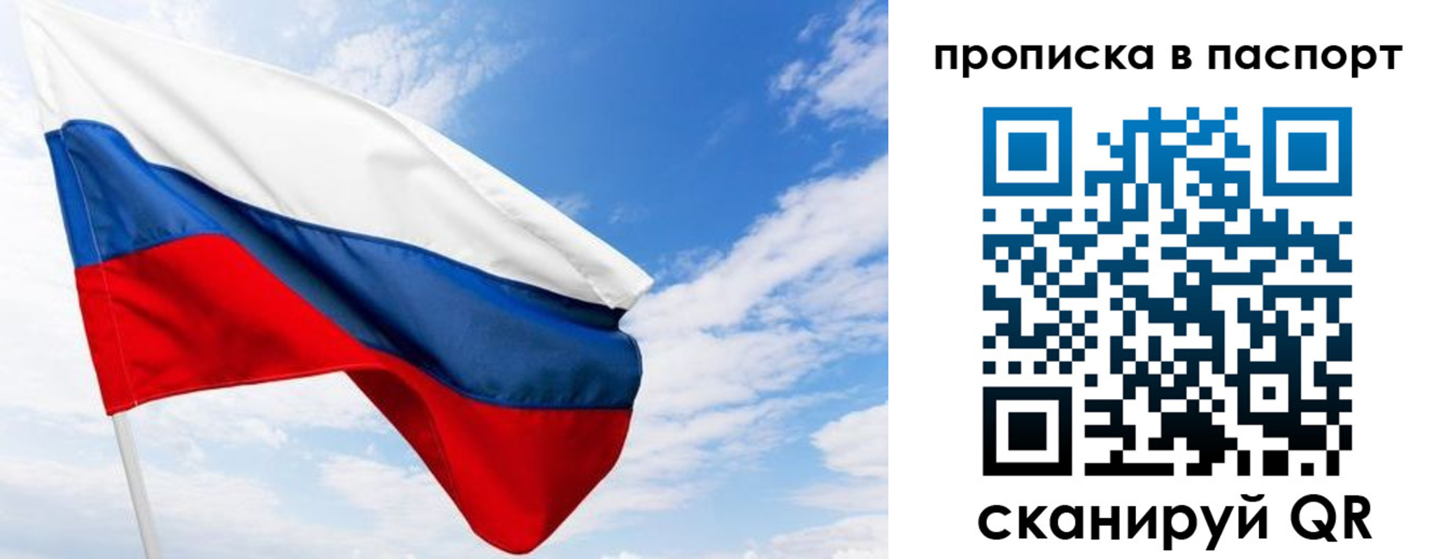 прописка поиск в Коле