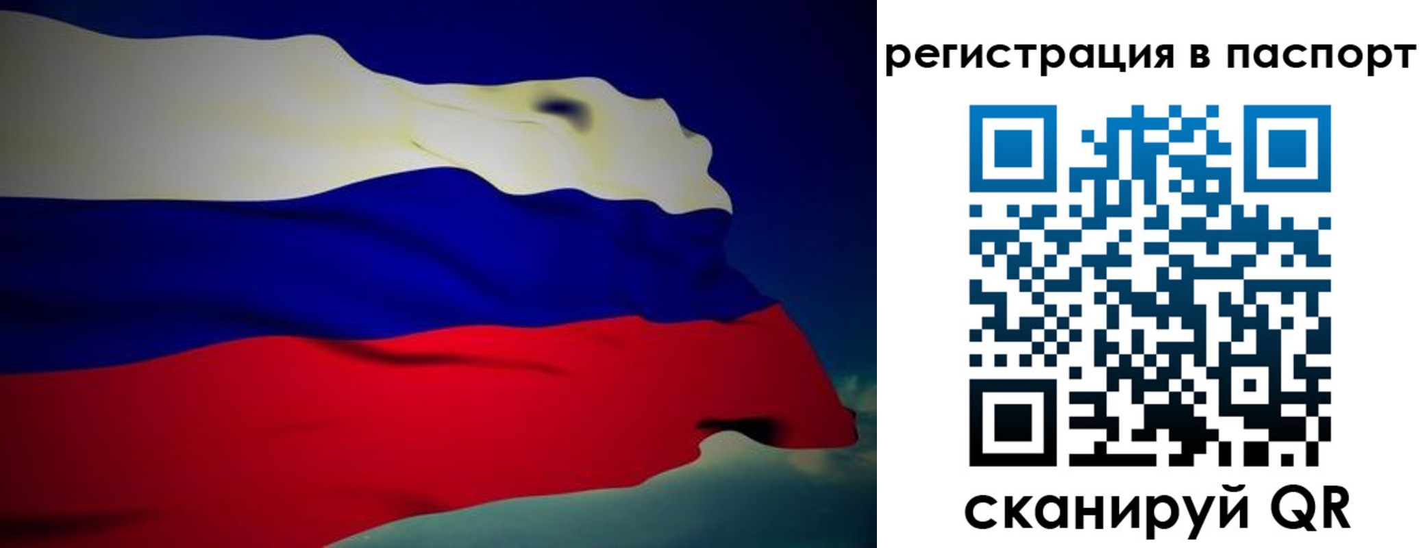 временная регистрация 2025 в Коле